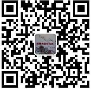 -1-1Q125195339155.jpg.jpg