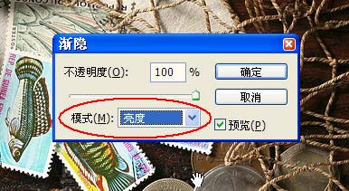 jc12283_15.jpg