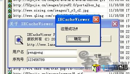 IECacheView高级汉化破解版1.1+1.20版