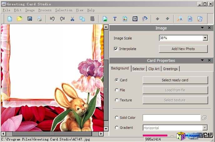 Greeting Card Studio 1.61 (贺卡设计)注册码